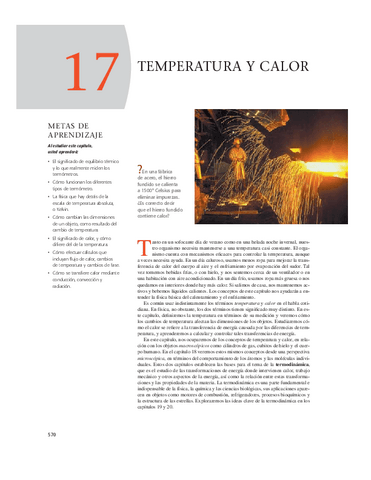 Termodinamica.pdf