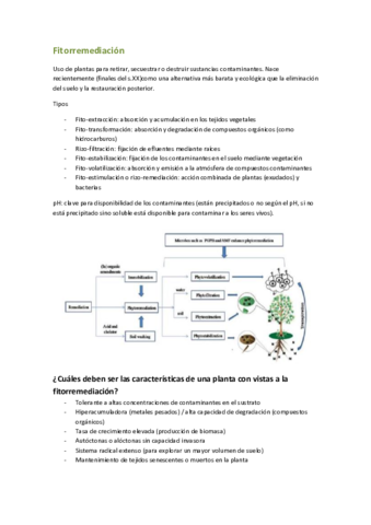 Fitorremediación (2).pdf