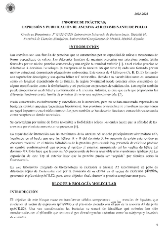 InformeLIBIOTEC.pdf