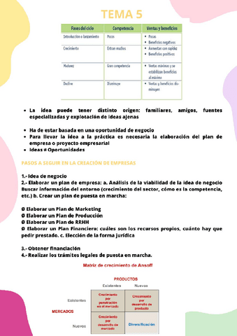 TEMA-5-GESTION-DE-EMPRESAS.pdf
