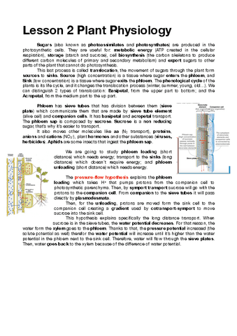 Lesson-2-Plant-Physiology.pdf