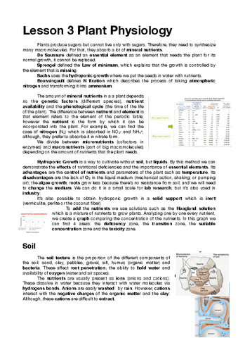 Lesson-3-Plant-Physiology.pdf