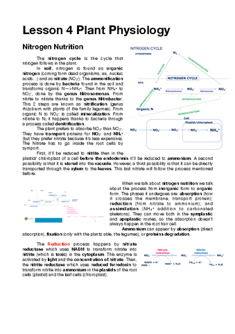Lesson-4-Plant-Physiology.pdf