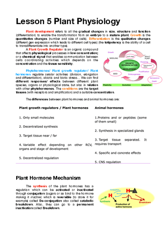 Lesson-5-Plant-Physiology.pdf