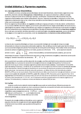 Teoria-Robaina-StuDocu.pdf