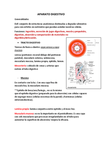 APARATO-DIGESTIVO.pdf