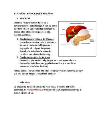 VISCERAS.-PANCREAS-E-HIGADO.pdf