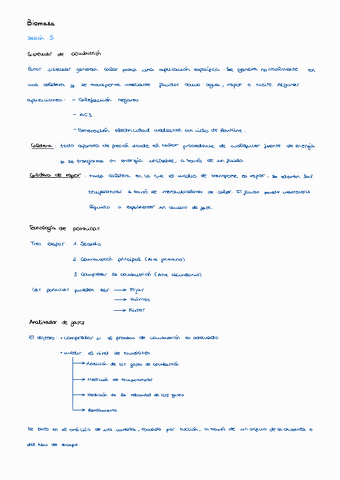 Biomasa-ERT-sesion-5.pdf