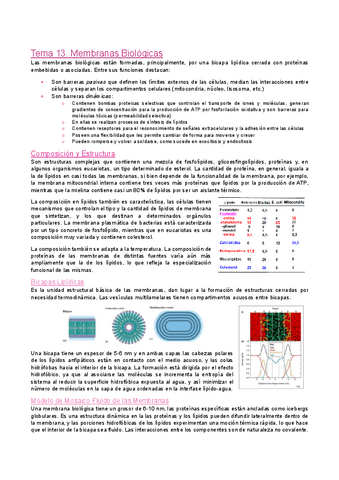 Tema-13.-Membranas-Biologicas.pdf