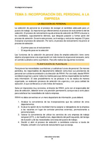 Psicologia-de-la-empresa-TEMA-5.pdf