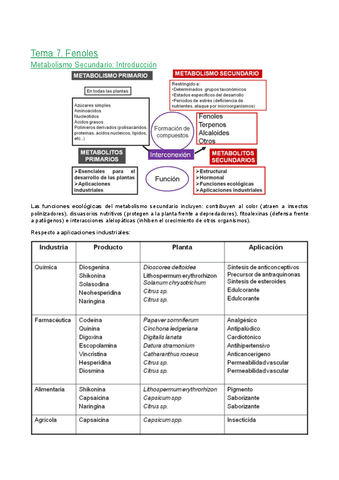 Tema-7.-Fenoles.pdf