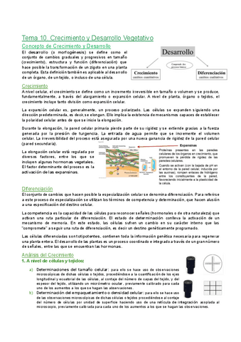 Tema-10.-Crecimiento-y-desarrollo-vegetativo.pdf
