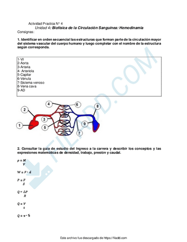 HemodinamiaAna-Orellana.pdf