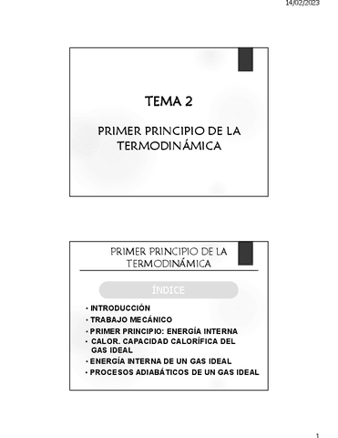 Teoria-Tema-2-Temperatura-y-Gases-22-23.pdf