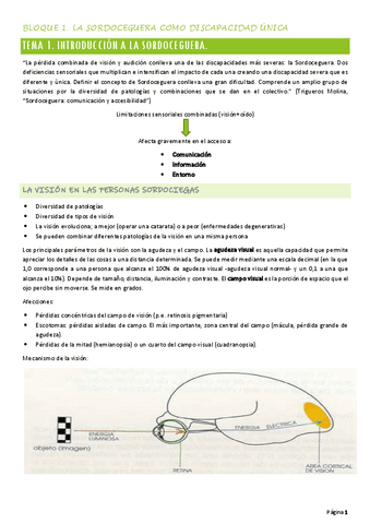 GuiaInterpretacion.pdf