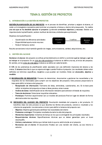 TEMA-3-AVL.pdf