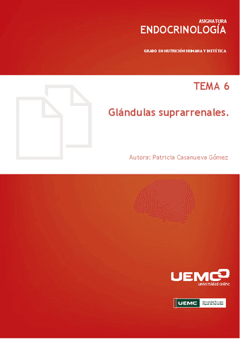 Tema-6.-Suprarrenales-2223.pdf