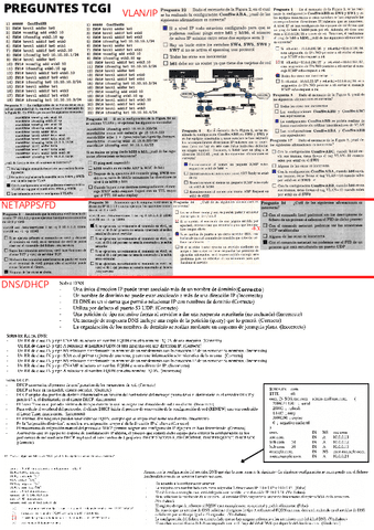 PREGUNTES-TCGI.pdf