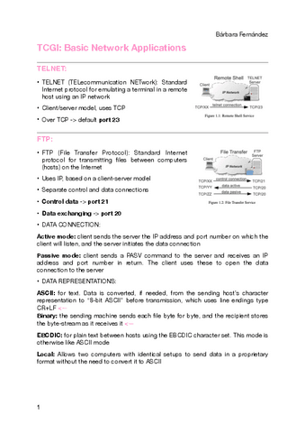 P3-Basic-Network-Applications.pdf