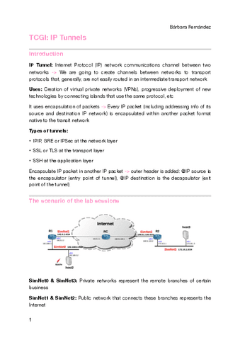 P7-IP-Tunnels.pdf