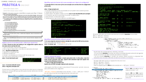 LABDNS.pdf