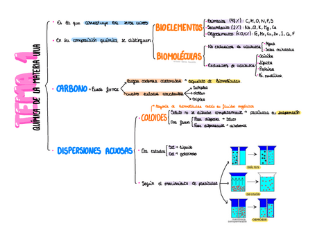 Esquema Quimica-De-La-Materia-Viva.pdf
