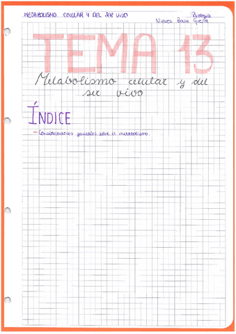 Metabolismo.pdf