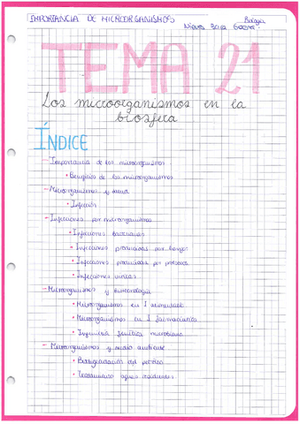 Microorganismos-importancia.pdf