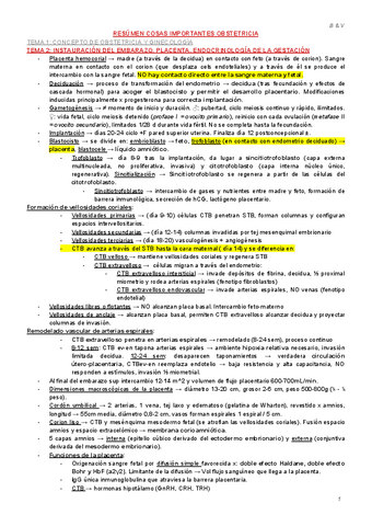 RESUMEN-OBSTETRICIA-BYV-2023.pdf