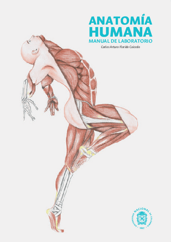 Anatomia-Humana.pdf