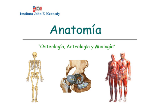 Anatomia.pdf