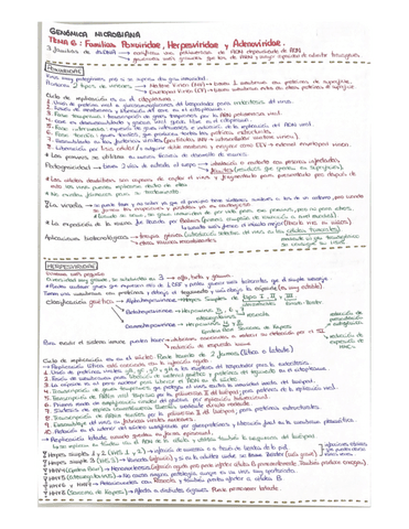 TEMA-6.pdf