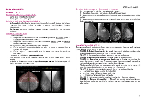 ApuntsMAMA.pdf