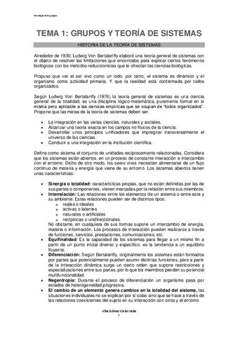 TEMA-1-GRUPOS-Y-TEORIA-DE-SISTEMAS.pdf