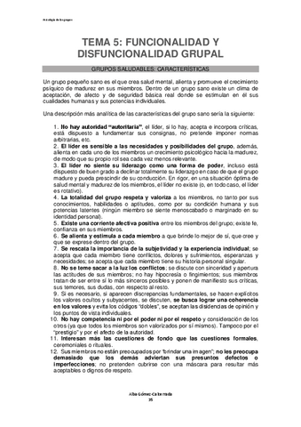 TEMA-5-FUNCIONALIDAD-Y-DISFUNCIONALIDAD-GRUPAL.pdf
