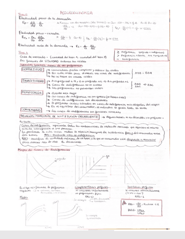 Microeconomia apuntes.pdf