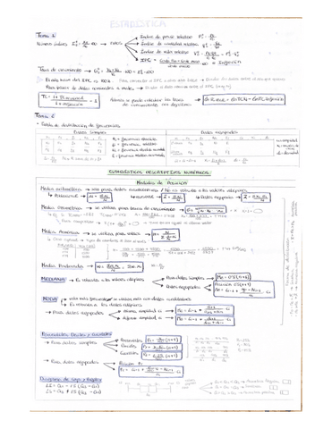 Estadistica-apuntes.pdf