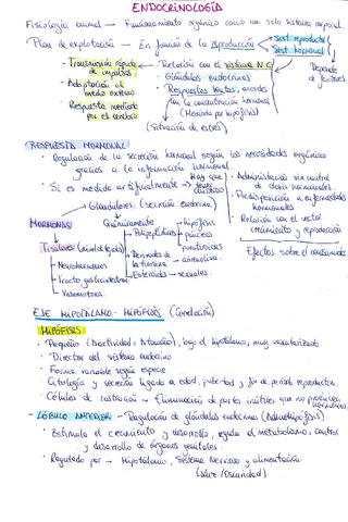 2-parcial-Bases-de-la-P.A.pdf