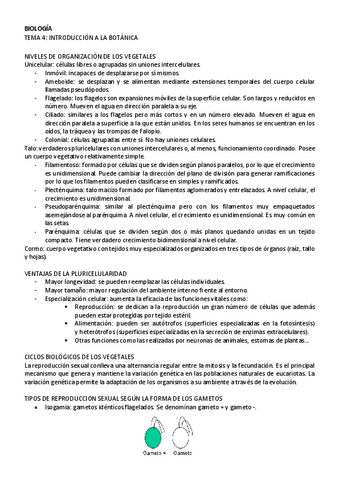 BIOLOGIA-tema-4.pdf