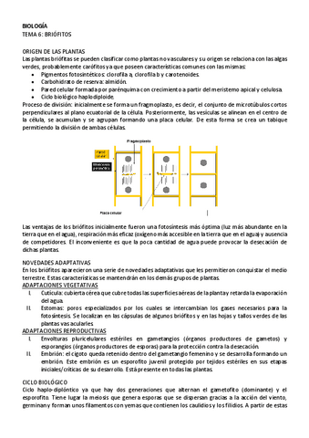 BIOLOGIA-tema-6.pdf