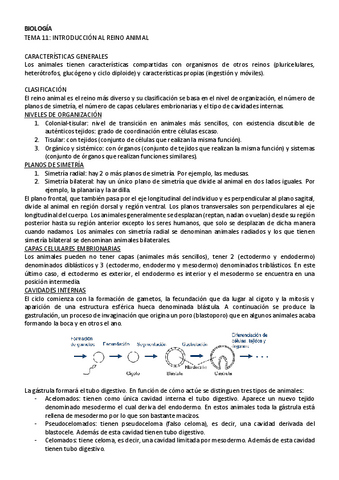 BIOLOGIA-tema-11.pdf