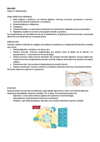 BIOLOGIA-tema-13.pdf