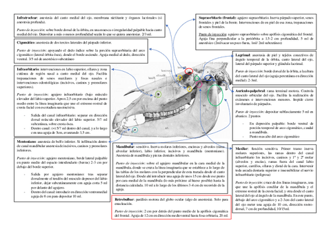 cq-resumen-anestesia-y-radiologia.pdf