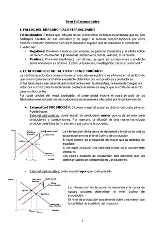 Tema-6-Economia-del-Bienestar-Definitivo.pdf