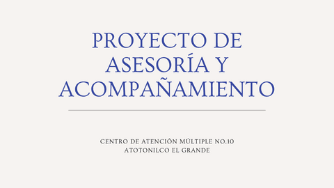 PROYECTO-DE-ASESORIA-Y-ACOMPANAMIENTO.pdf