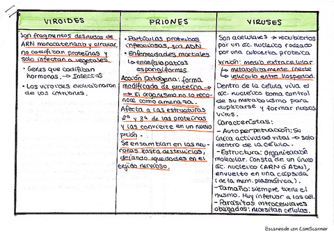 Tema-16-Tabla-resumen-Microorganismos.pdf
