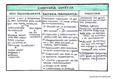 Tema-17-Tabla-resumen-Ingenieria-Genetica.pdf