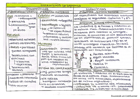 Tema-18-Tabla-resumen-Inmunologia.pdf