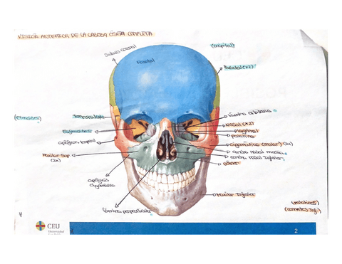 POSIBLES-LAMINAS.pdf