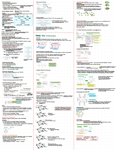 Resumen-rstc-parte-2-2023.pdf